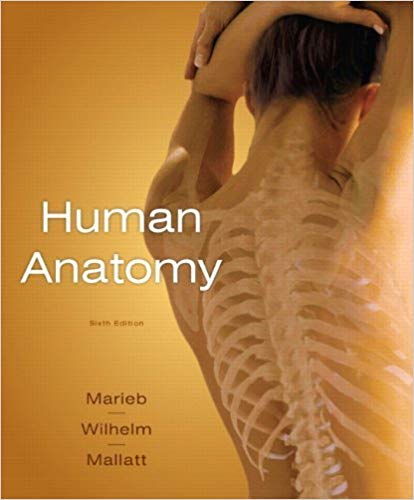 Human Anatomy 6th Edition By Elaine N. Marieb.jpg